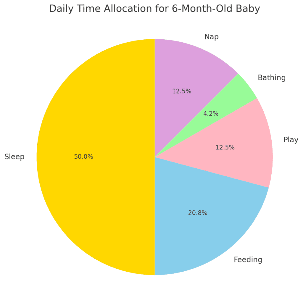 Baby Routine Pie Chart for 6 Months Old